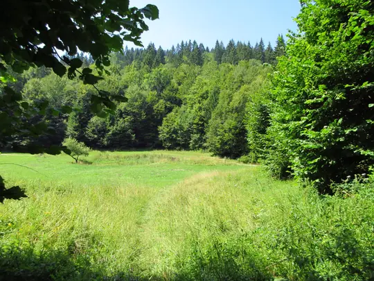 Ricongiungimento del sentiero alla strada di Val Scausse