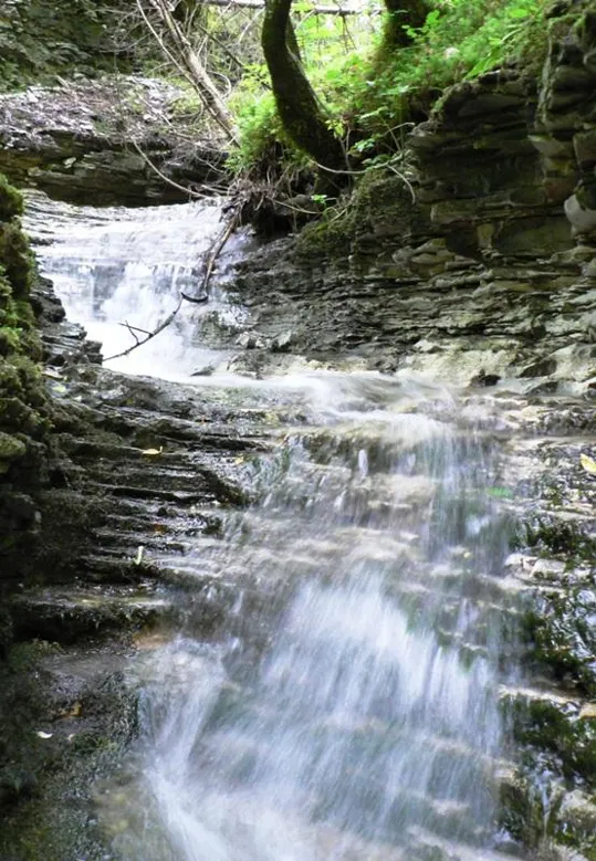 Val d'Assa - Torrente nei pressi di S.Antönle