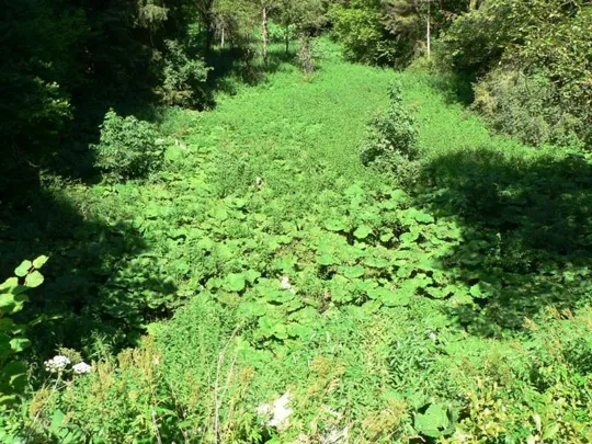 Val d'Assa - verso il ponte