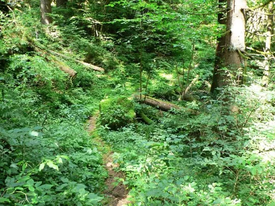 Val d'Assa - Proseguimento del sentiero verso il ponte