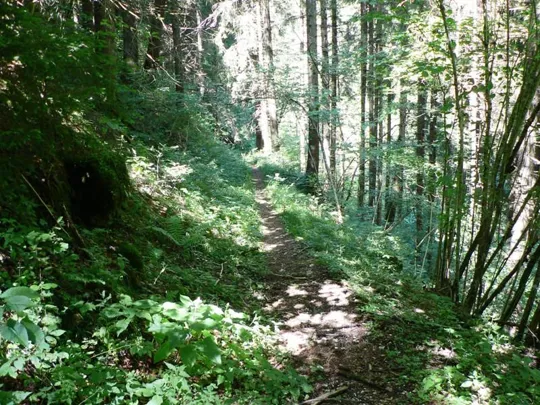 Val d'Assa - Proseguimento del sentiero verso il ponte