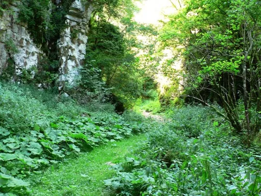 Val d'Assa - parti del canyon