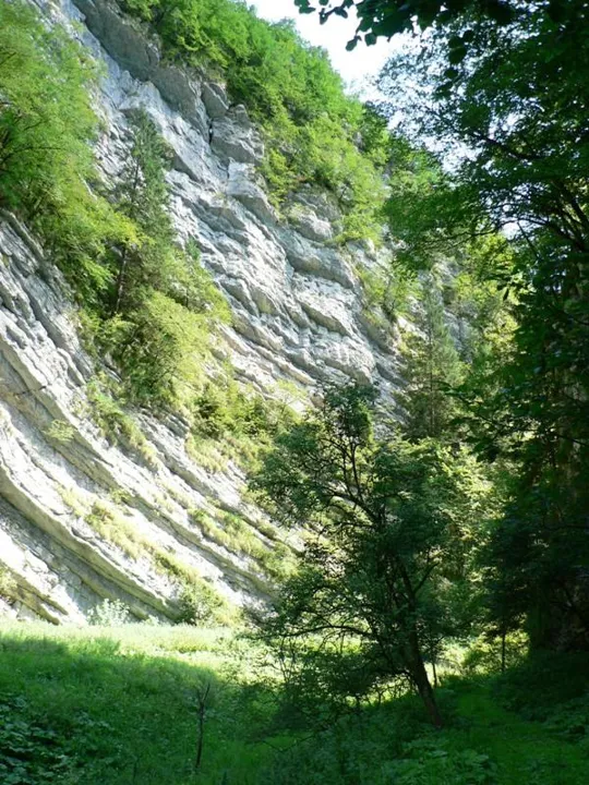 Val d'Assa - dettagli sulla forma rocciosa