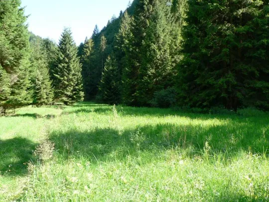 Val d'Assa - prato sul fondo valle