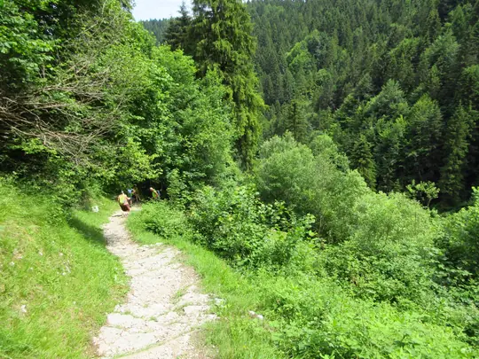 Dettaglio del percorso