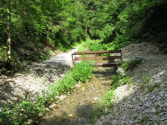 Dettaglio del percorso