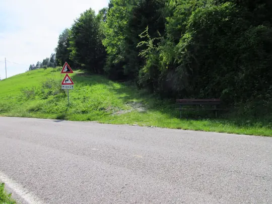 Attraversamento della strada