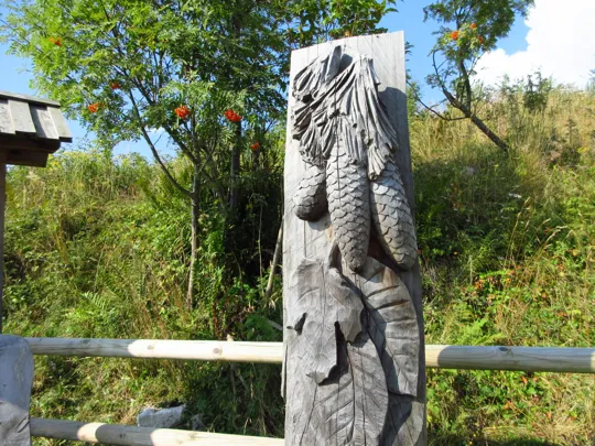 Biodiversità (Gianluigi Zeni)