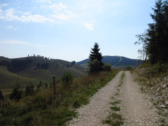 Dettaglio del percorso