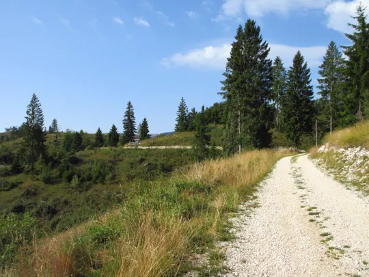 Dettaglio del percorso