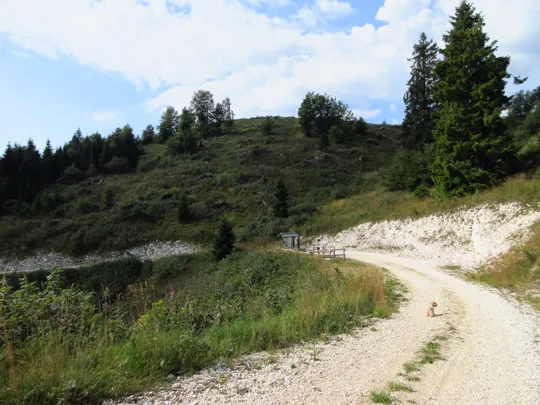 Dettaglio del percorso