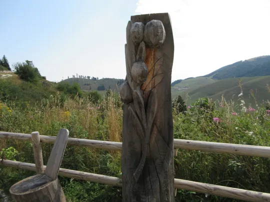 Andromeda (Gianluigi Zeni)