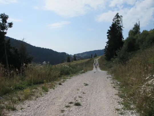 Dettaglio del percorso