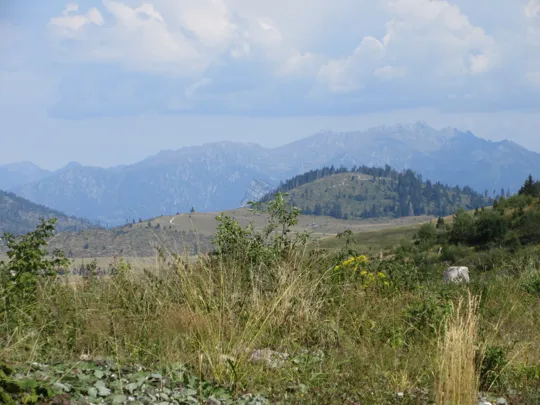 Panorama sul Lagorai