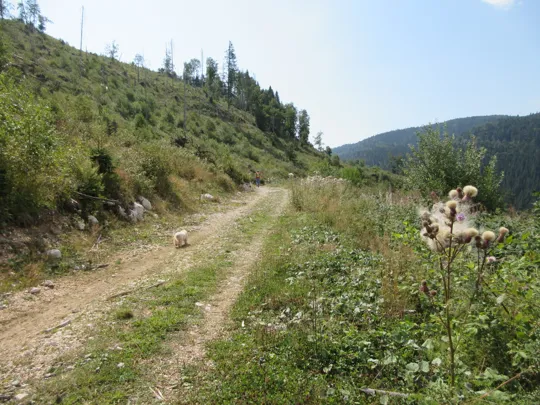 Dettaglio del percorso