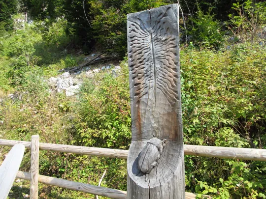 Il tipografo nascosto (Gianluigi Zeni)