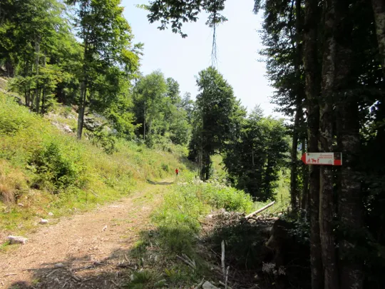 Dettaglio del percorso