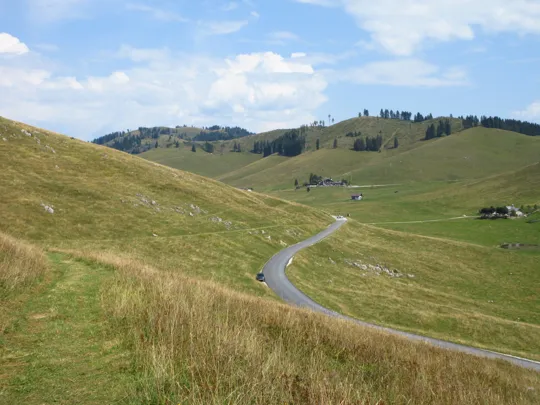 Vista sulla strada asfaltata