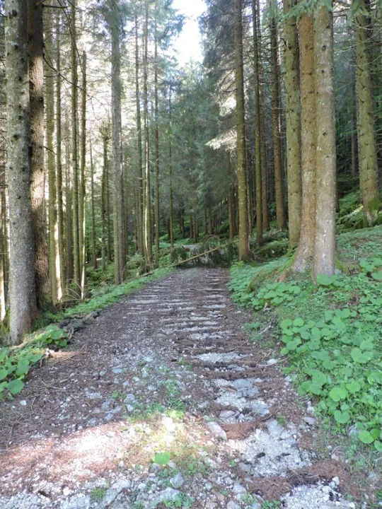 Voragine Sprunch - Dettaglio della strada