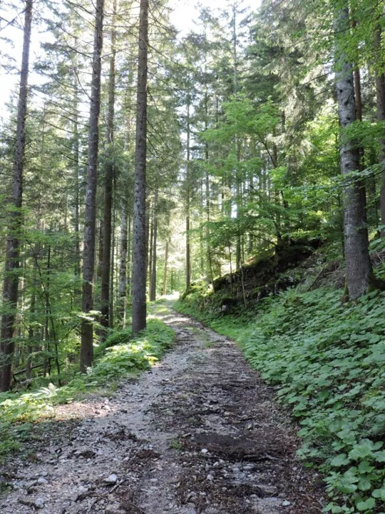 Voragine Sprunch -  Dettaglio della strada