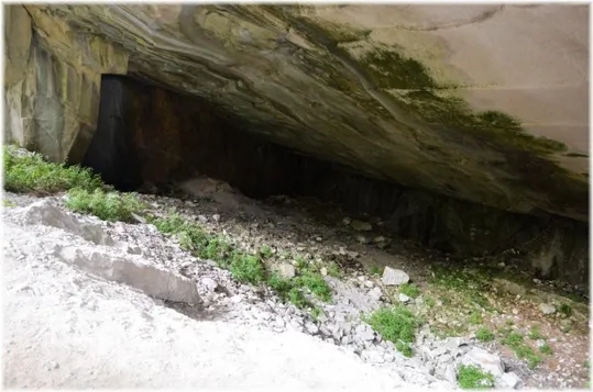 Bosco Caproni - le cave basse