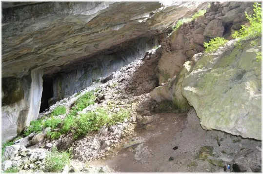 Bosco Caproni - le cave basse