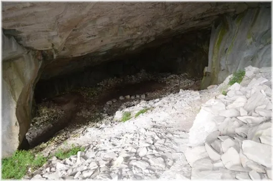 Bosco Caproni - le cave basse