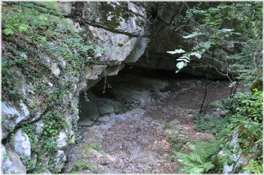 Bosco Caproni - erosione