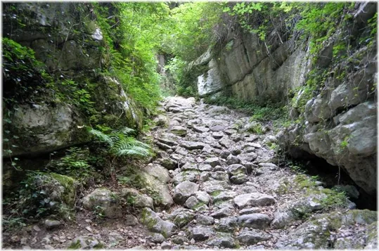 Bosco Caproni - la strada antica