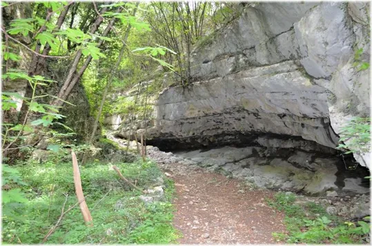 Bosco Caproni - erosione