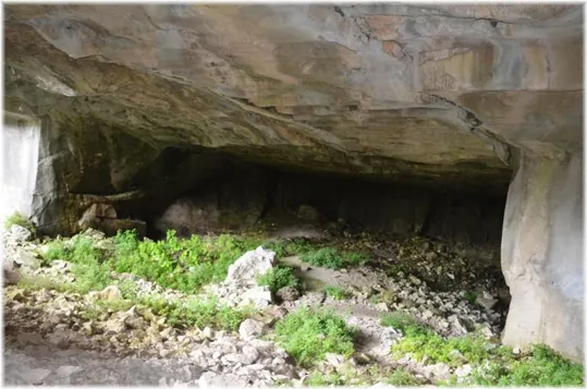 Bosco Caproni - le cave basse
