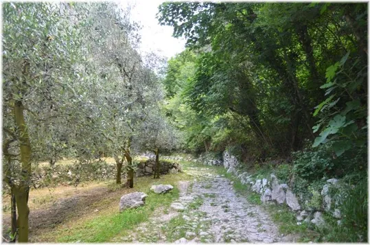 Bosco Caproni - il sentiero