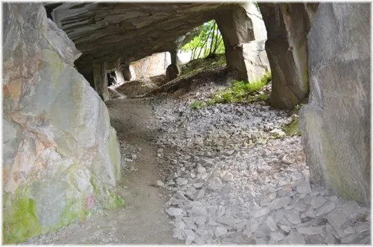 Bosco Caproni - le cave basse
