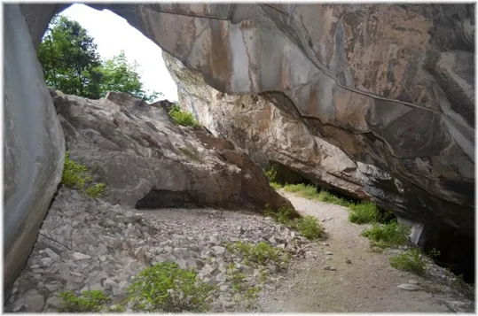 Bosco Caproni - le cave basse