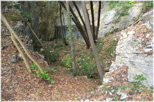 Bosco Caproni - altro tratto del sentiero