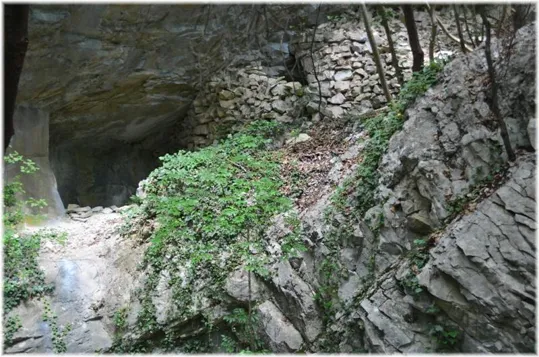 Bosco Caproni - altro tratto del sentiero