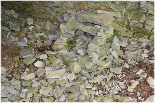 Bosco Caproni - altro tratto del sentiero