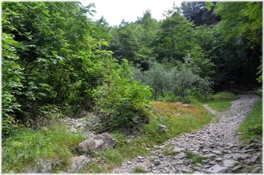 Bosco Caproni - il sentiero