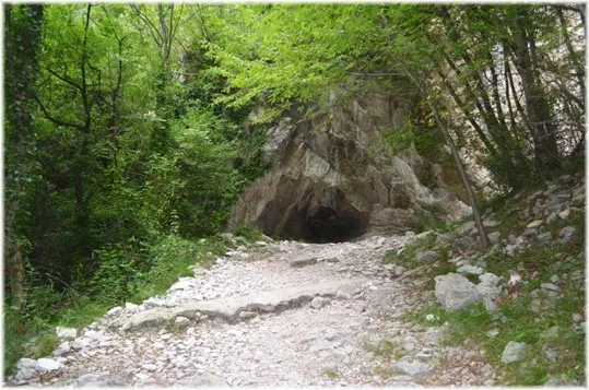 Bosco Caproni - il sentiero