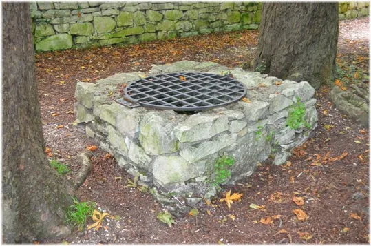 Bosco Caproni - un pozzo