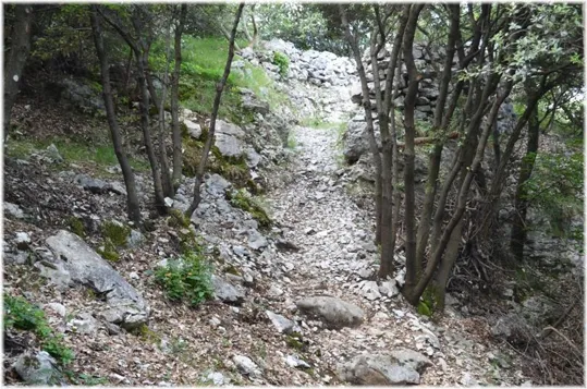 Bosco Caproni - iniziano le trincee