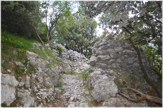 Bosco Caproni - iniziano le trincee