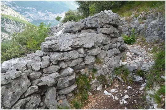 Bosco Caproni - trincee recuperate