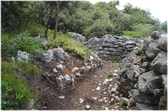 Bosco Caproni - trincee recuperate