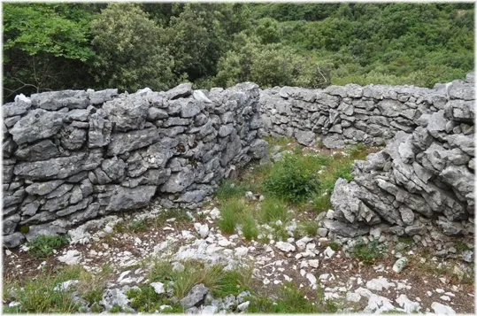 Bosco Caproni - trincee recuperate