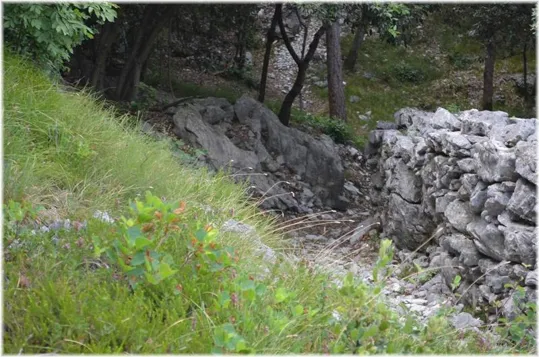 Bosco Caproni - trincee recuperate