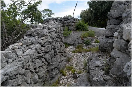 Bosco Caproni - trincee recuperate
