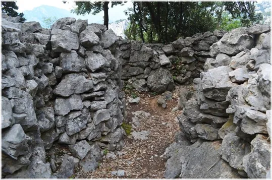 Bosco Caproni - trincee recuperate