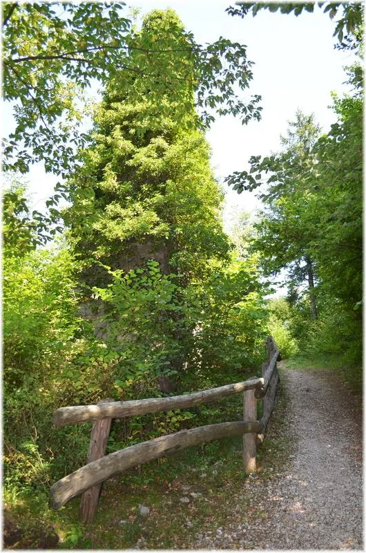 Tratto del sentiero sul retro di Castel Belfort