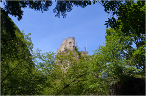 Il Castello di Salorno tra le fronde degli alberi